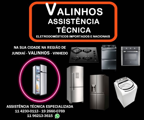 assistência técnica eletrodomésticos valinhos